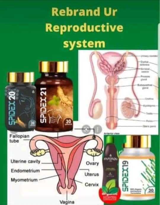 Mens Vitality Bundle